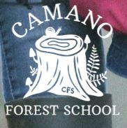 CFS logo